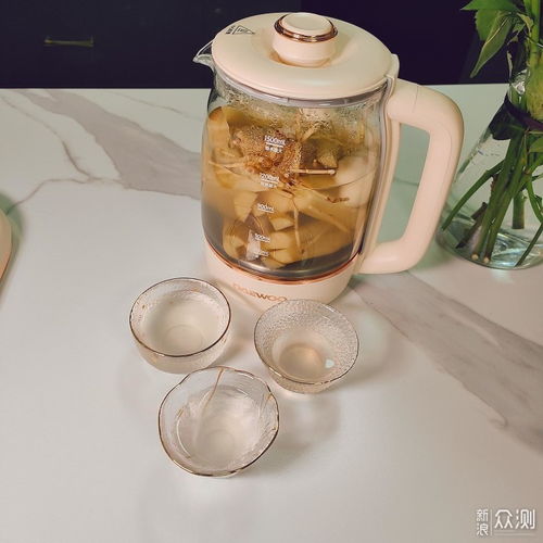 好物推荐 大宇养生壶——我的健康精致生活好帮手