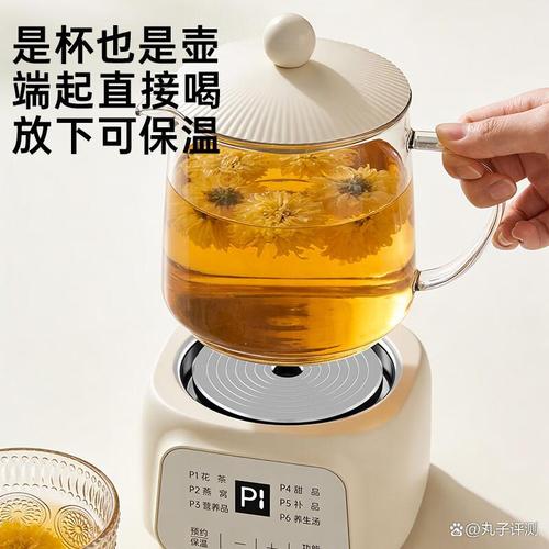 养生壶哪个牌子好用又实惠?2026推荐你这10款品质优良的产品!